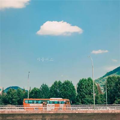 半岛网页版手机app下载